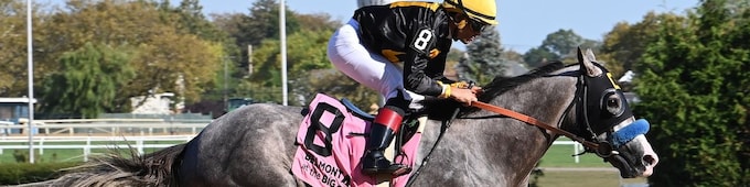  LIVE American Pharoah and Champagne Stakes 2025: Odds, picks, horse racing news, and more