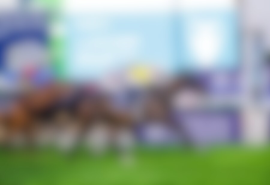 Native Approach pulls a $65.40 upset in the Al Quoz Sprint (G1)