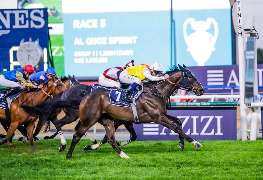Native Approach pulls a $65.40 upset in the Al Quoz Sprint (G1)