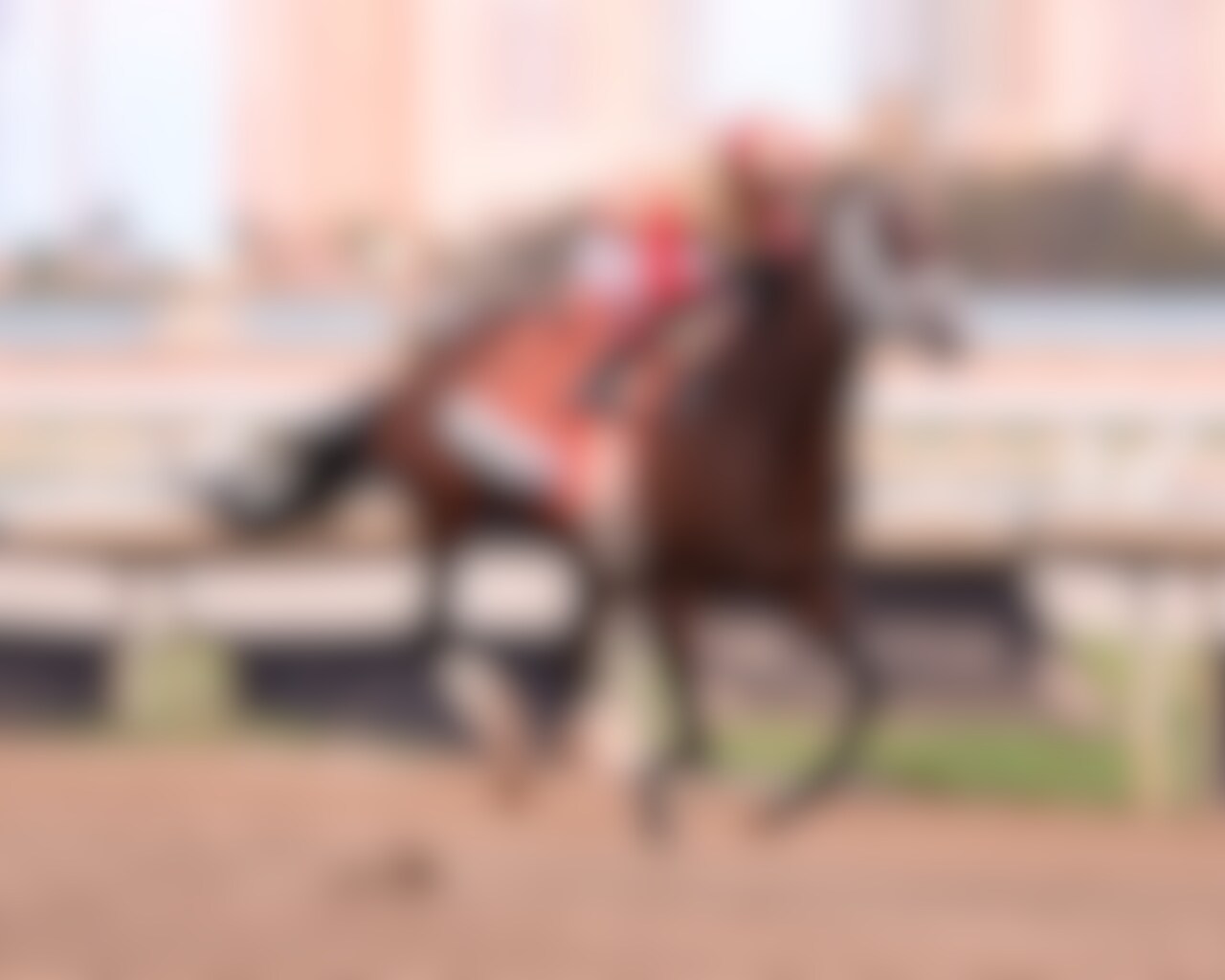 Nearly wins the Holy Bull at Gulfstream Park. 