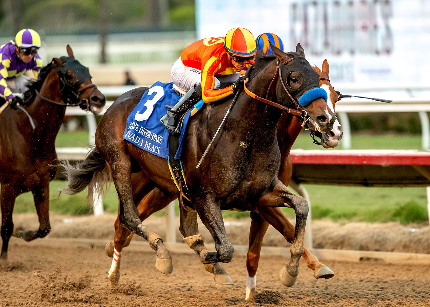 Nevada Beach had to work to get past longshot British Isles in the Native Diver (G3)