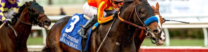 Nevada Beach scrapes home in Native Diver