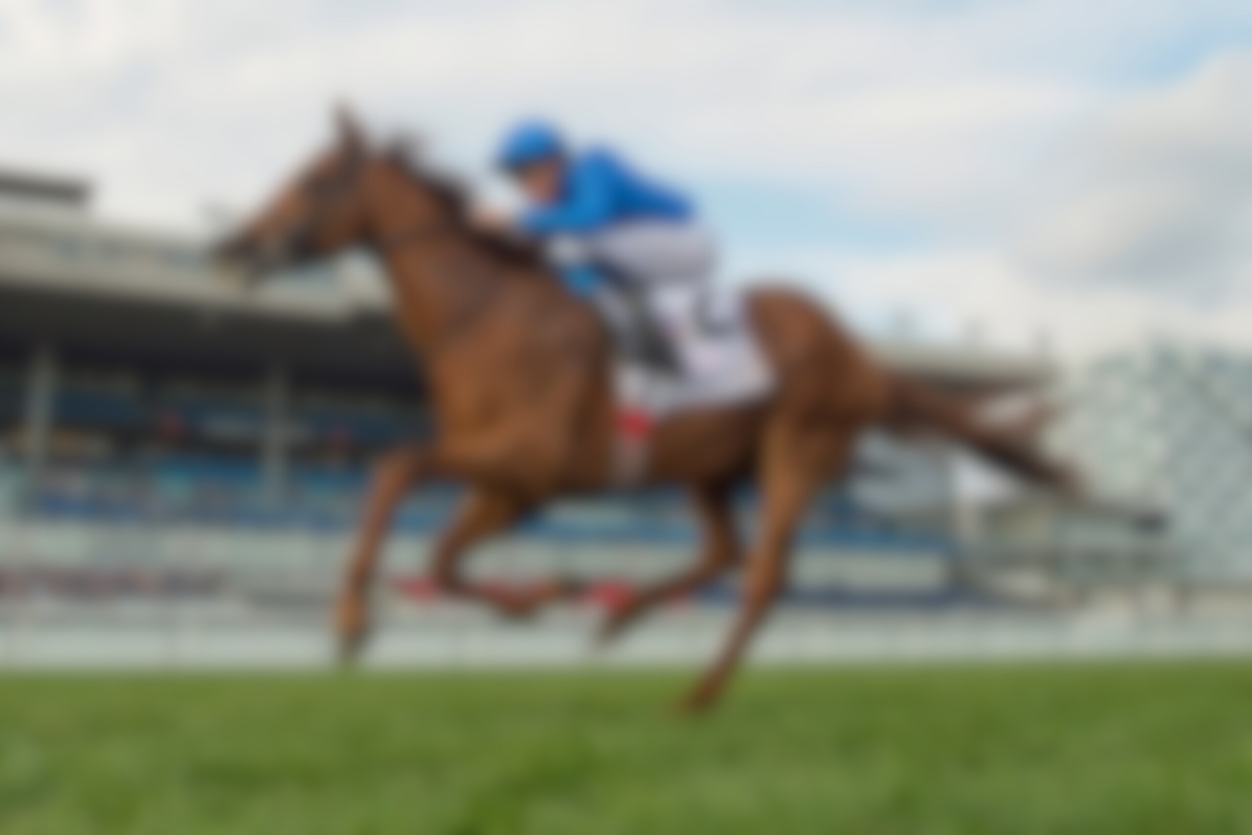 Notable Speech wins the Woodbine Mile at Woodbine. 