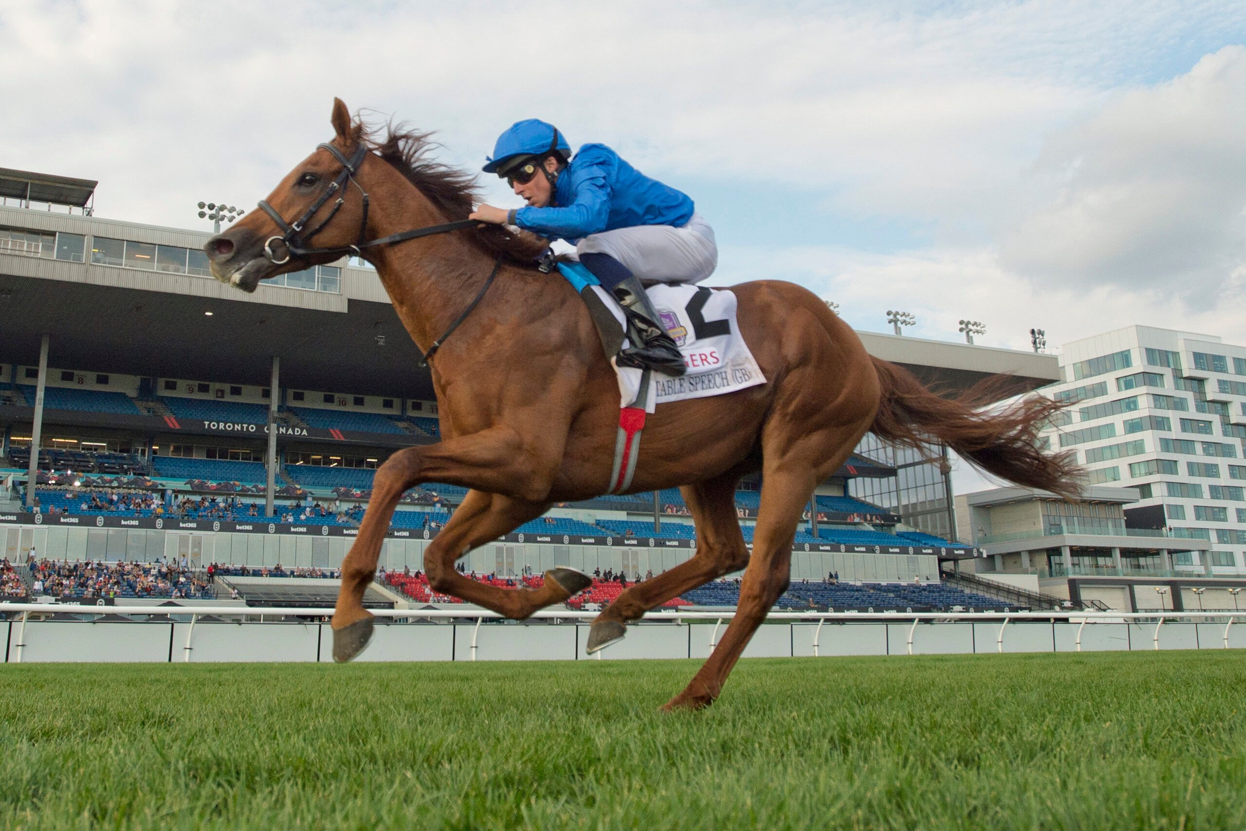 Notable Speech wins the Woodbine Mile at Woodbine.