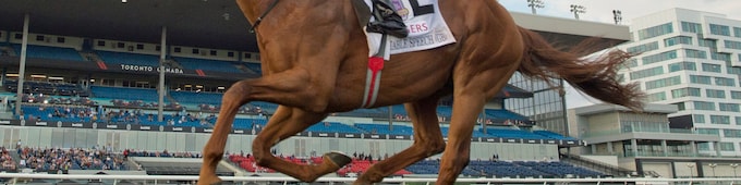 Notable Speech all class in Woodbine Mile