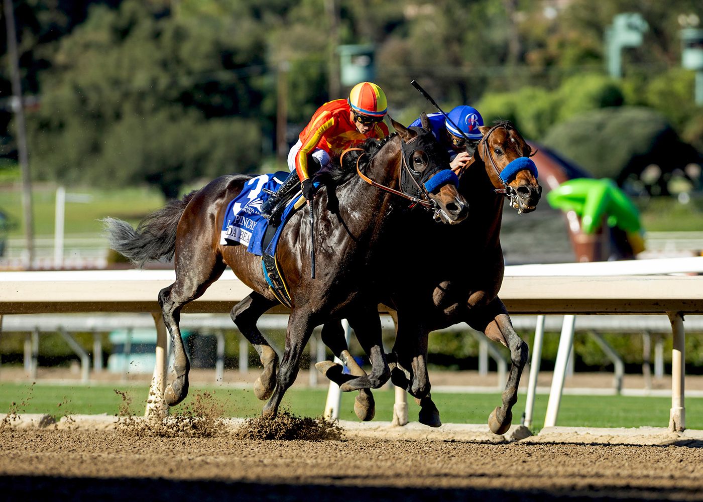 Nysos turned back stablemate Nevada Beach in the Laffit Pincay Jr. (G2)