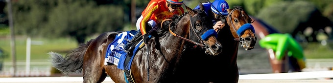 Nysos outduels Nevada Beach in stakes-record Laffit Pincay