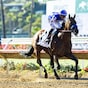 Nysos heads stellar cast for Met Mile