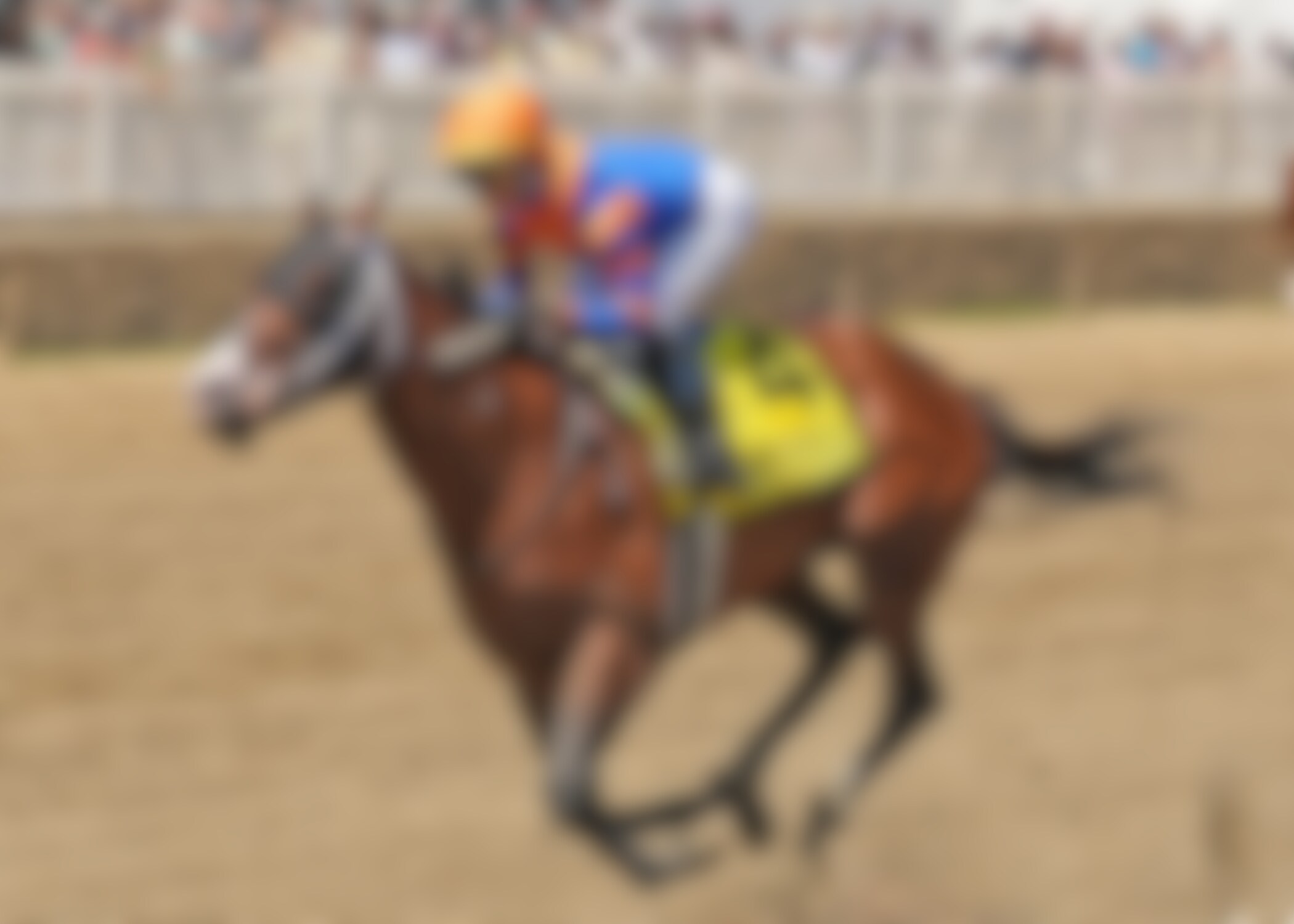Obliteration winning the Chick Lang S. at Laurel Park
