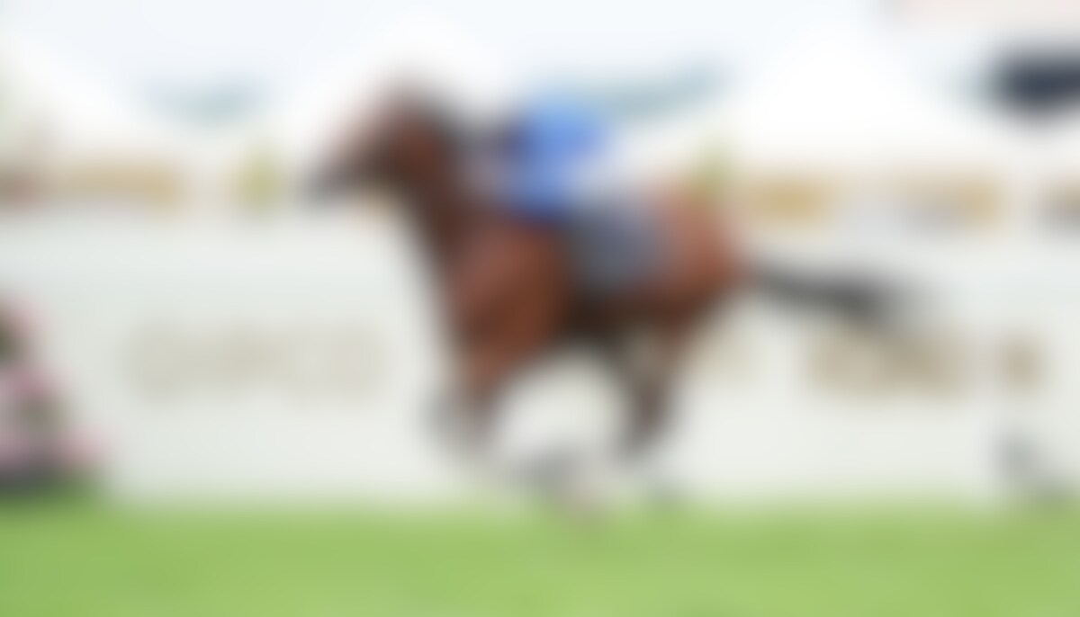 Ombudsman winning the Prince of Wales's (G1) on Day 2 of Royal Ascot