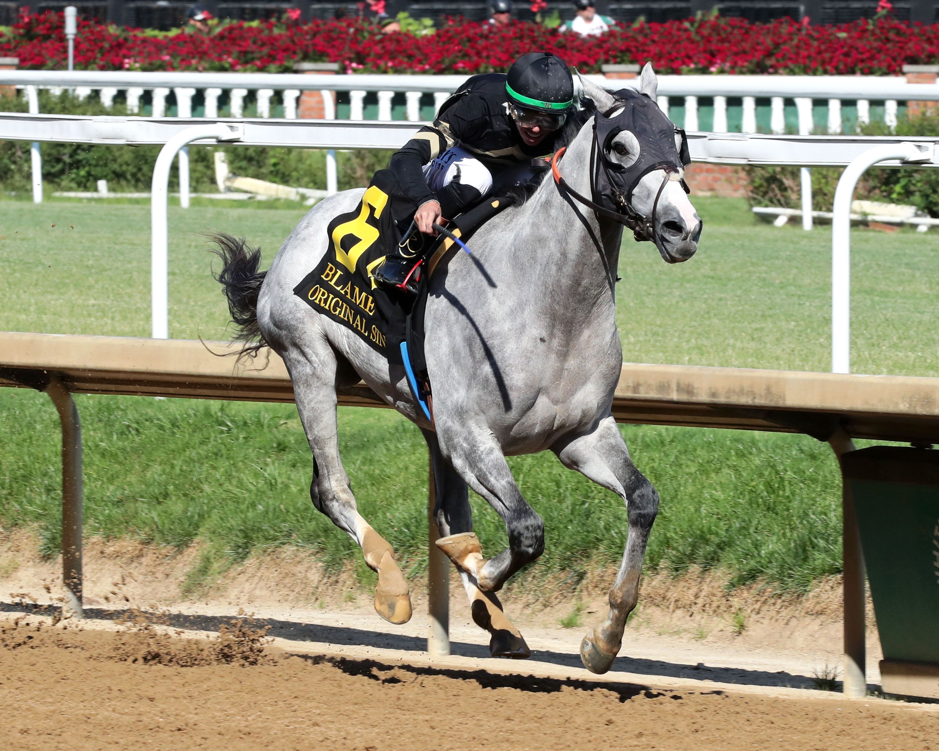 Lukas Classic, Ack Ack offer Breeders’ Cup potential