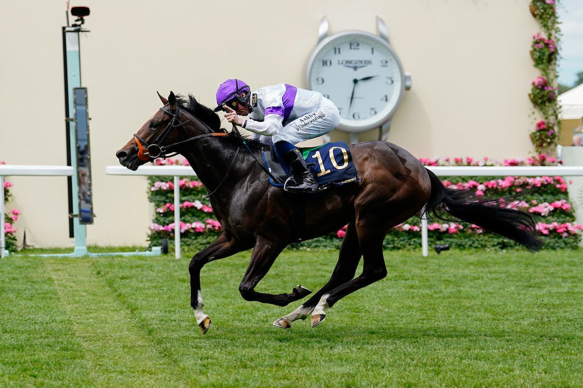Orthodox wins the Norfolk (G2) on closing day of Royal Ascot.