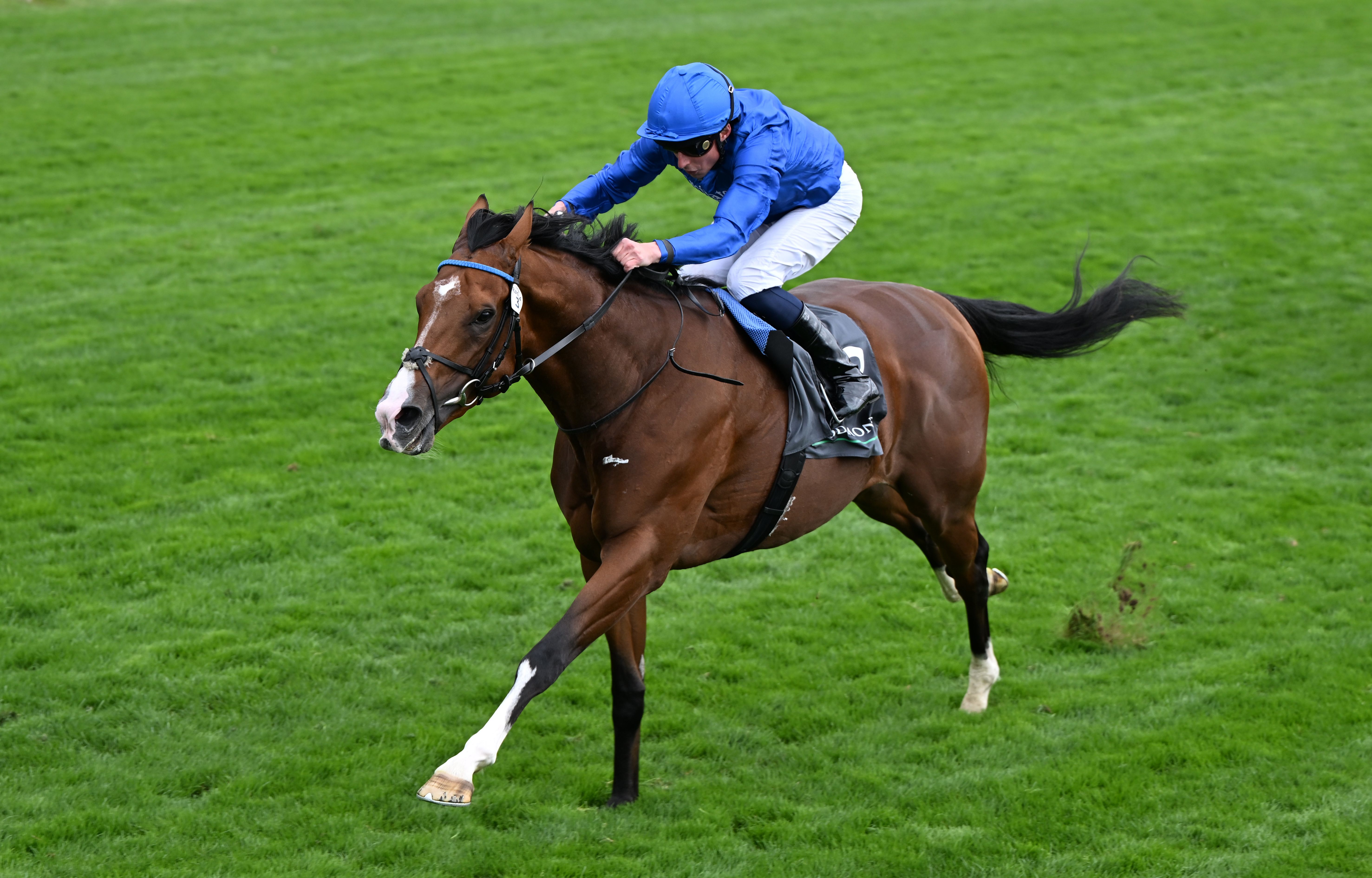 Ombudsman took off late to win the Juddmonte International going away