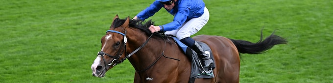 Ombudsman, Minnie Hauk, Asfoora capture BC WAYIs at York