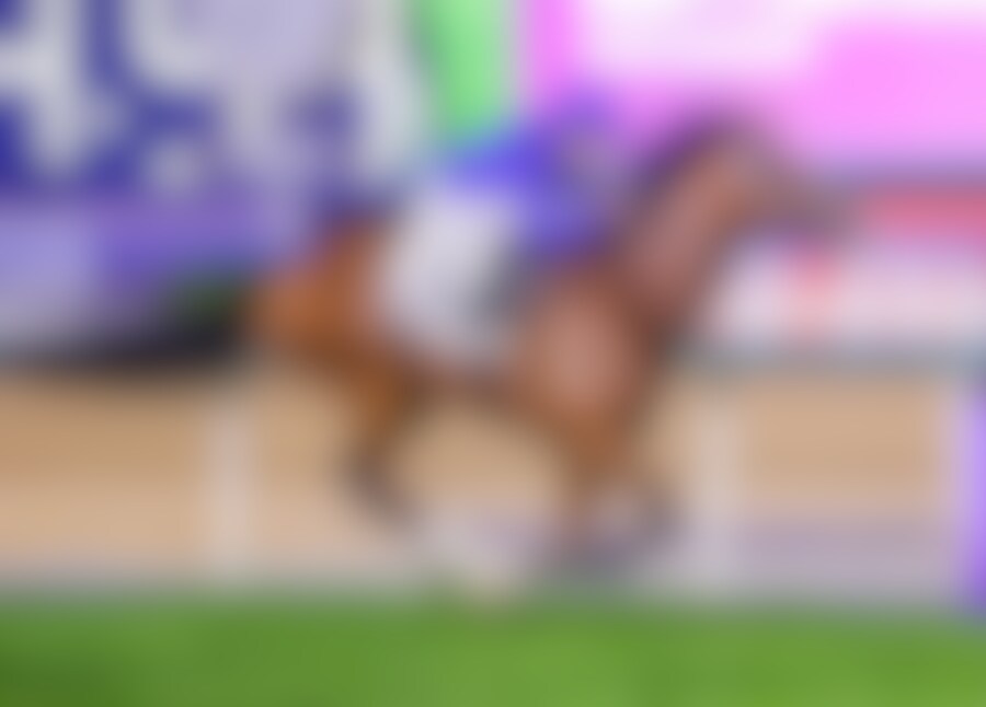 Ombudsman wins the Dubai Turf (G1)