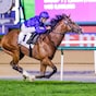 Ombudsman authoritative in Dubai Turf
