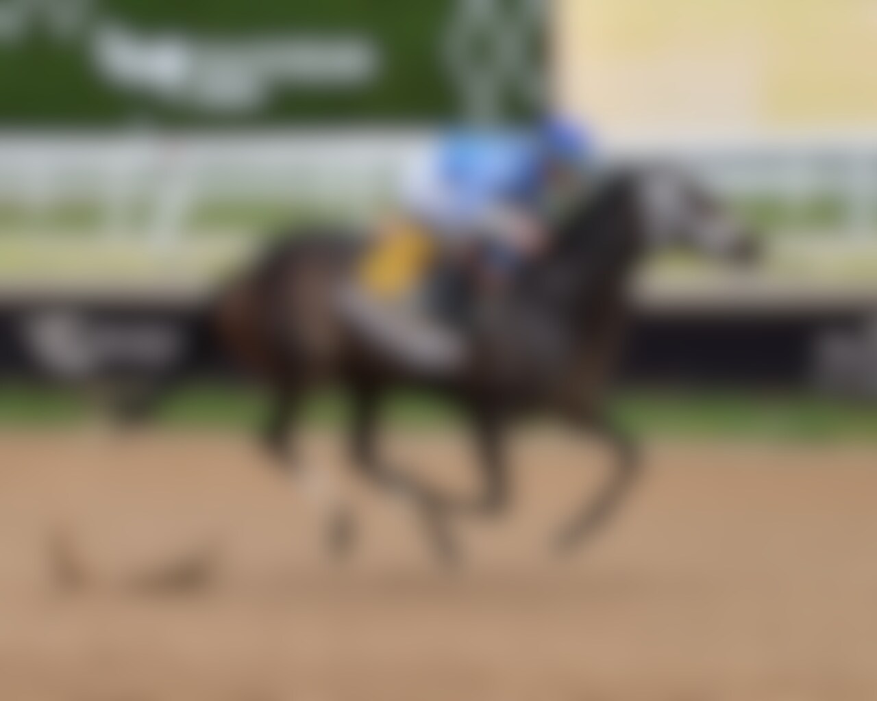 On Time Girls wins the Forward Gale at Gulfstream Park. 