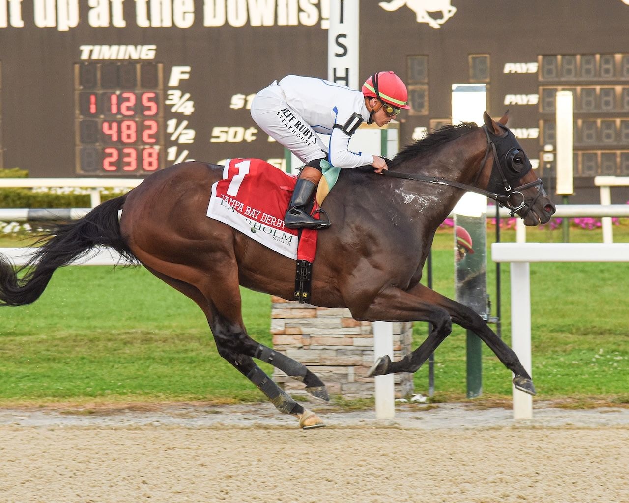 Owen Almighty winning the Tampa Bay Derby (G3) at Tampa Bay Downs (Photo by SV Photography)