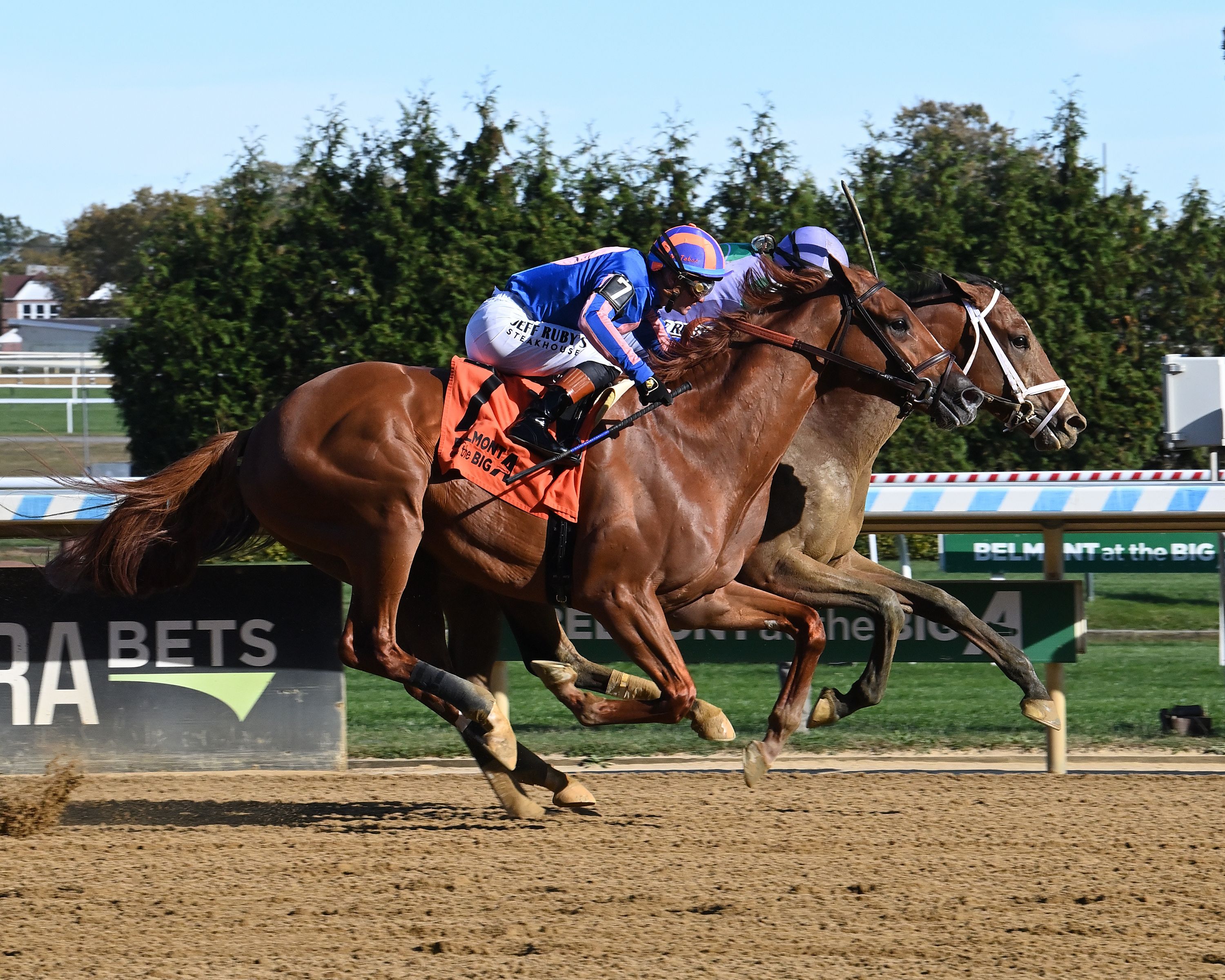 Paladin (outside) in his debut at Aqueduct edges out Renegade (inside).