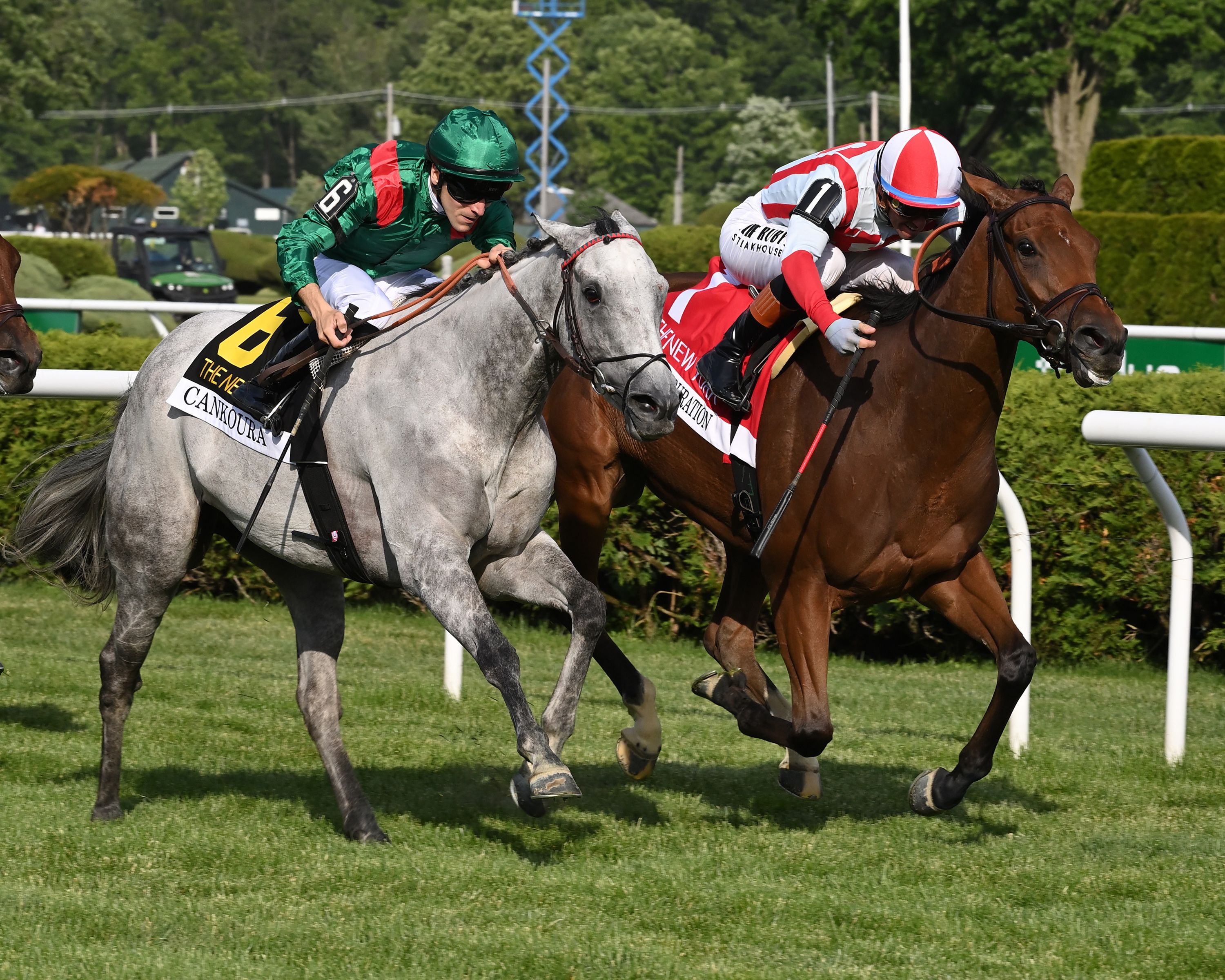 Portfolio Duration wins the New York (G1) at Saratoga.