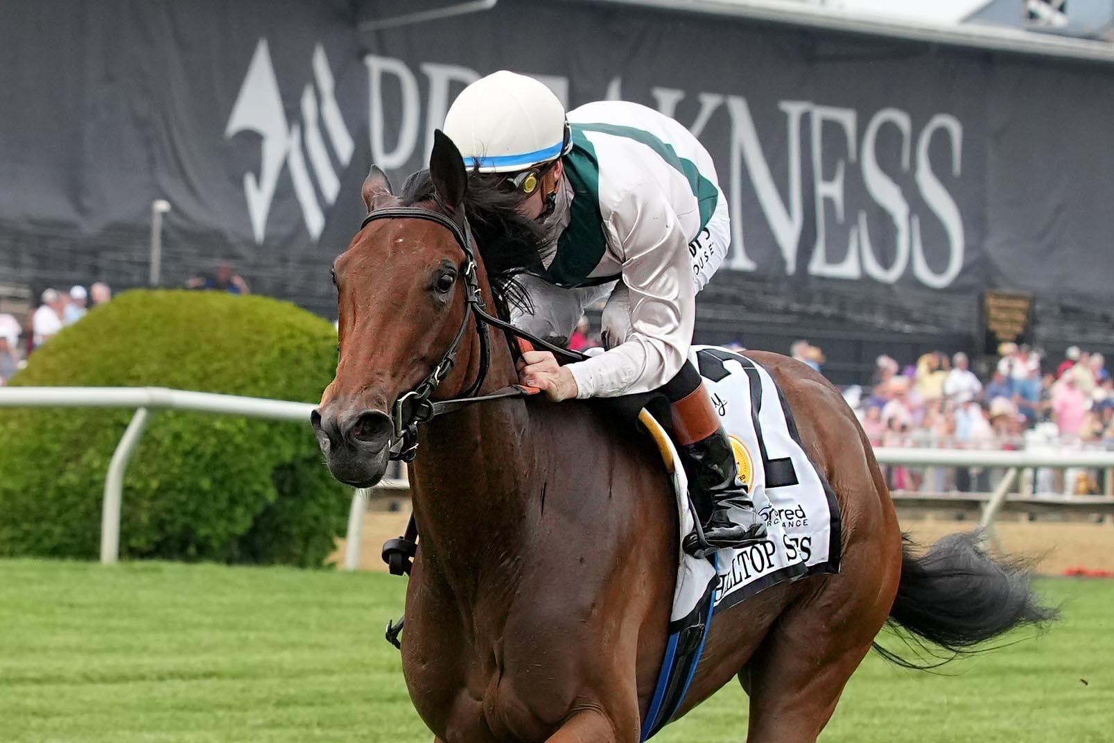 Play With Fire wins the Hilltop