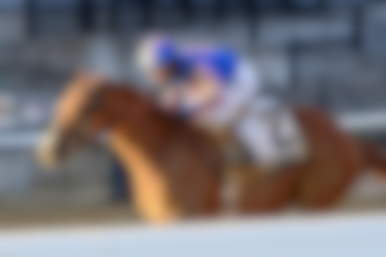 Paladin wins the Remsen Stakes at Aqueduct. 