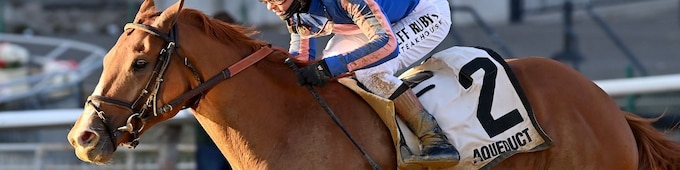 Paladin heads west for Risen Star; Bella Ballerina tops Rachel Alexandra