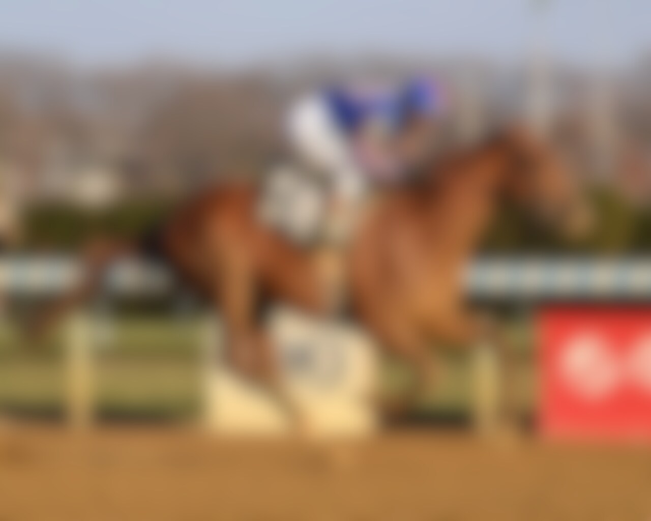 Paladin wins the Remsen Stakes at Aqueduct. 