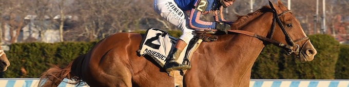 Paladin passes first stakes test in Remsen