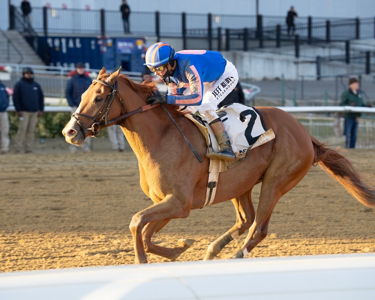Paladin wins the Remsen Stakes at Aqueduct. 