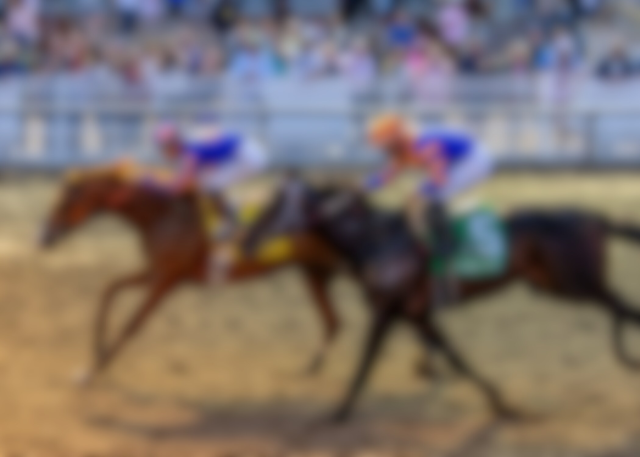 Paladin wins the Risen Star Stakes at Fair Grounds. 