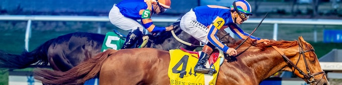 Paladin takes over in Kentucky Derby Future Wager Pool 4