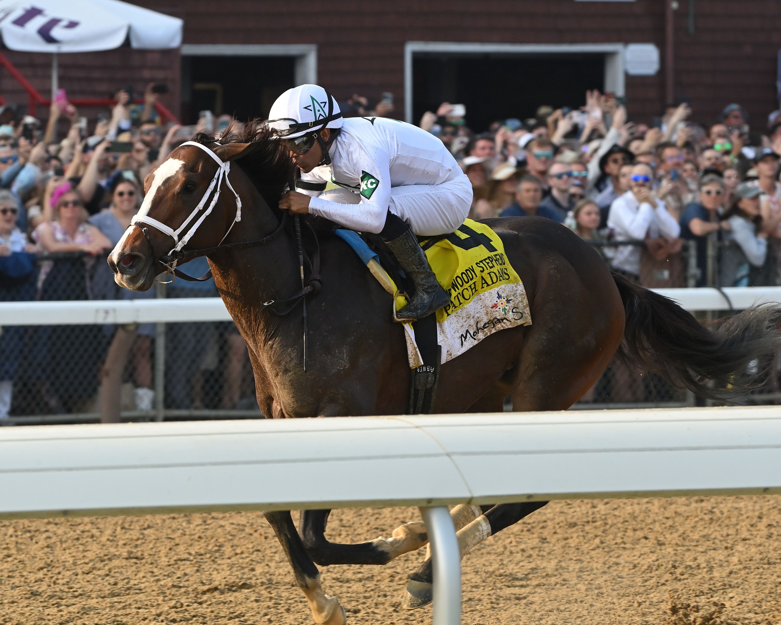 Patch Adams winning the Woody Stephens (G1) at Saratoga