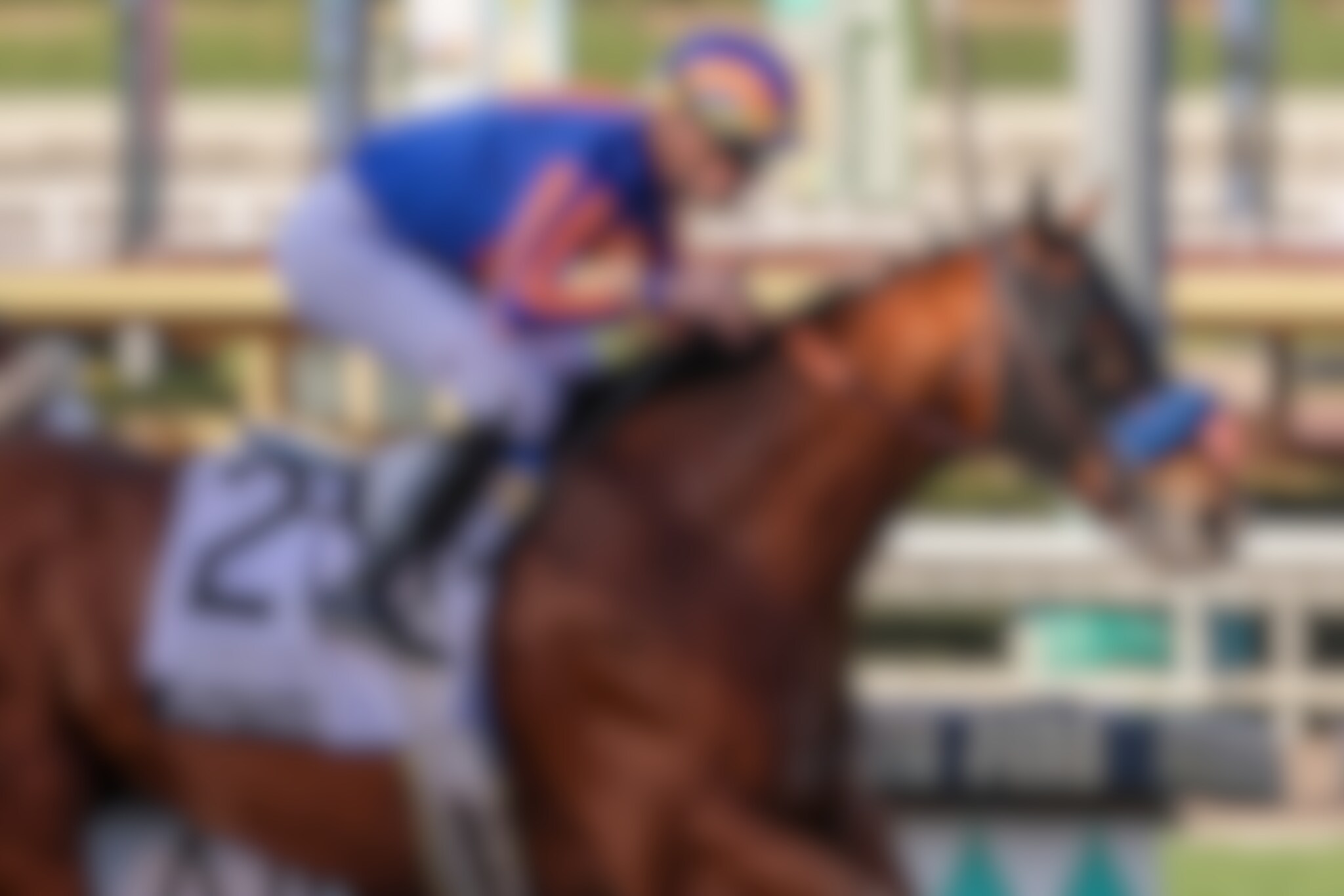 Plutarch wins the Robert B. Lewis at Santa Anita. 