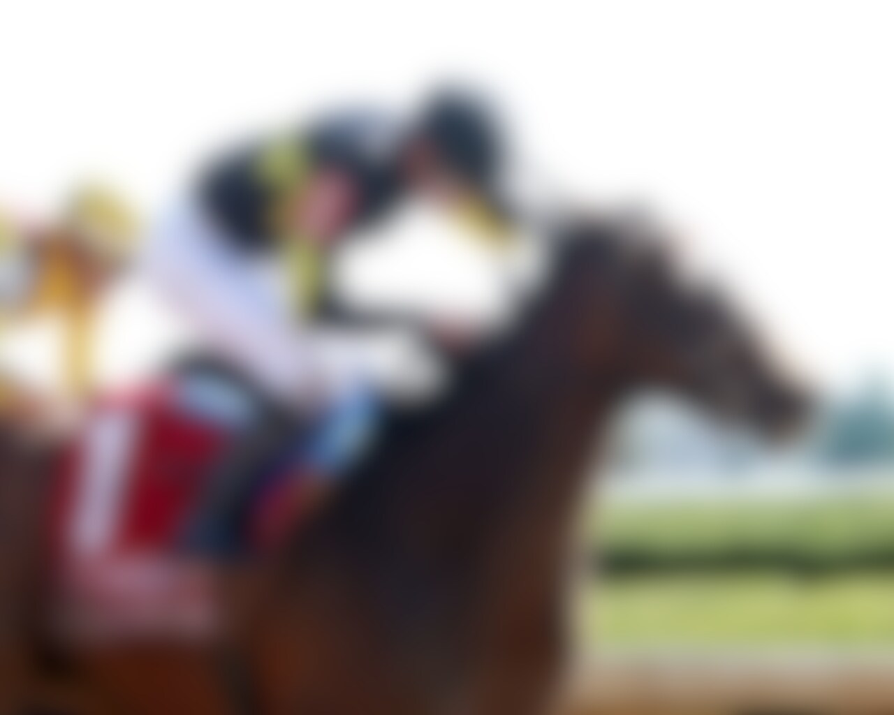 Positano Sunset wins the Resolute Racing Madison at Keeneland.