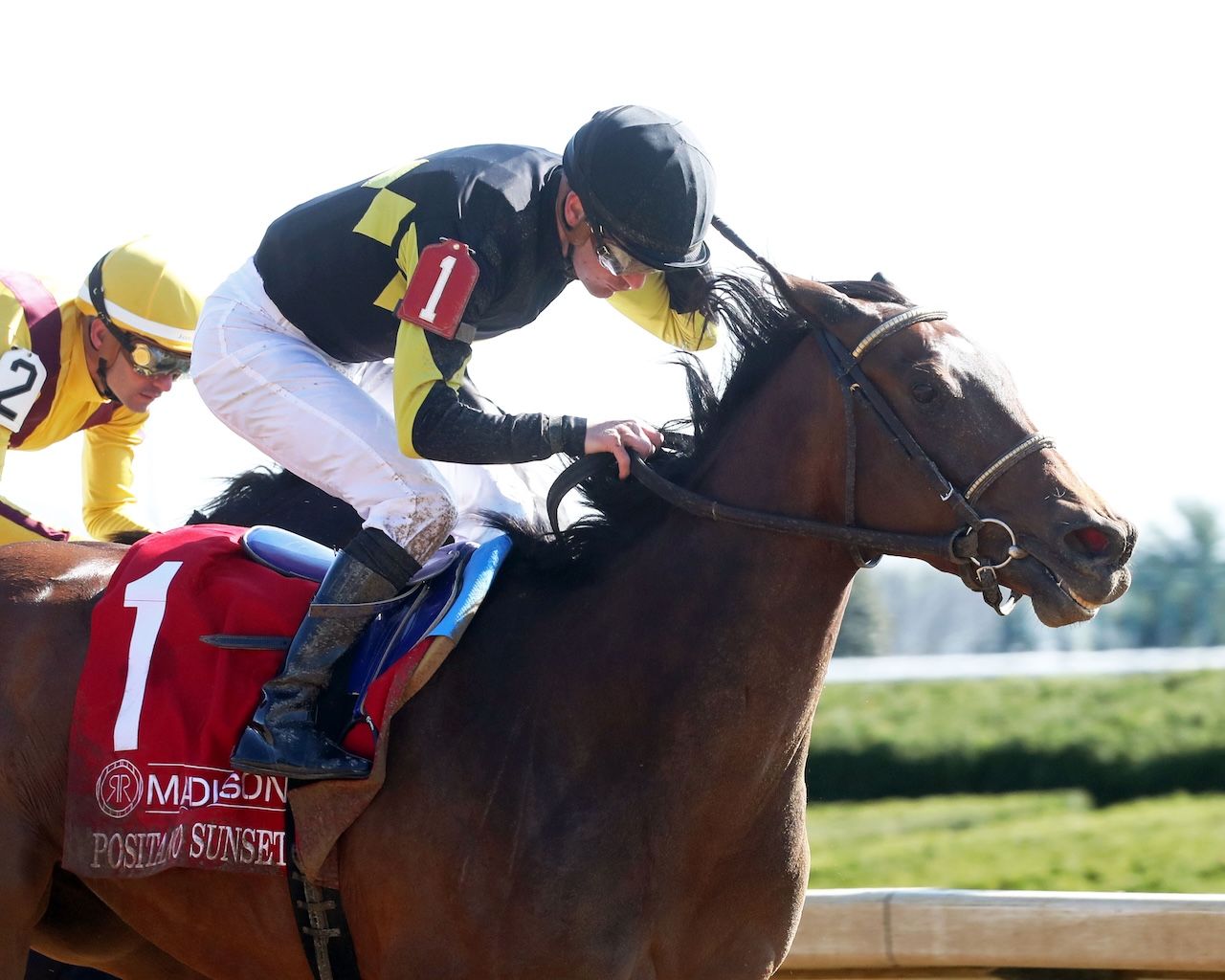 Positano Sunset wins the Resolute Racing Madison at Keeneland.