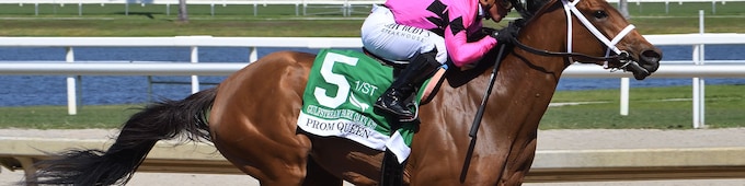Cox sends Leading Change to Indiana Derby, Prom Queen to Oaks