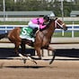 Cox sends Leading Change to Indiana Derby, Prom Queen to Oaks
