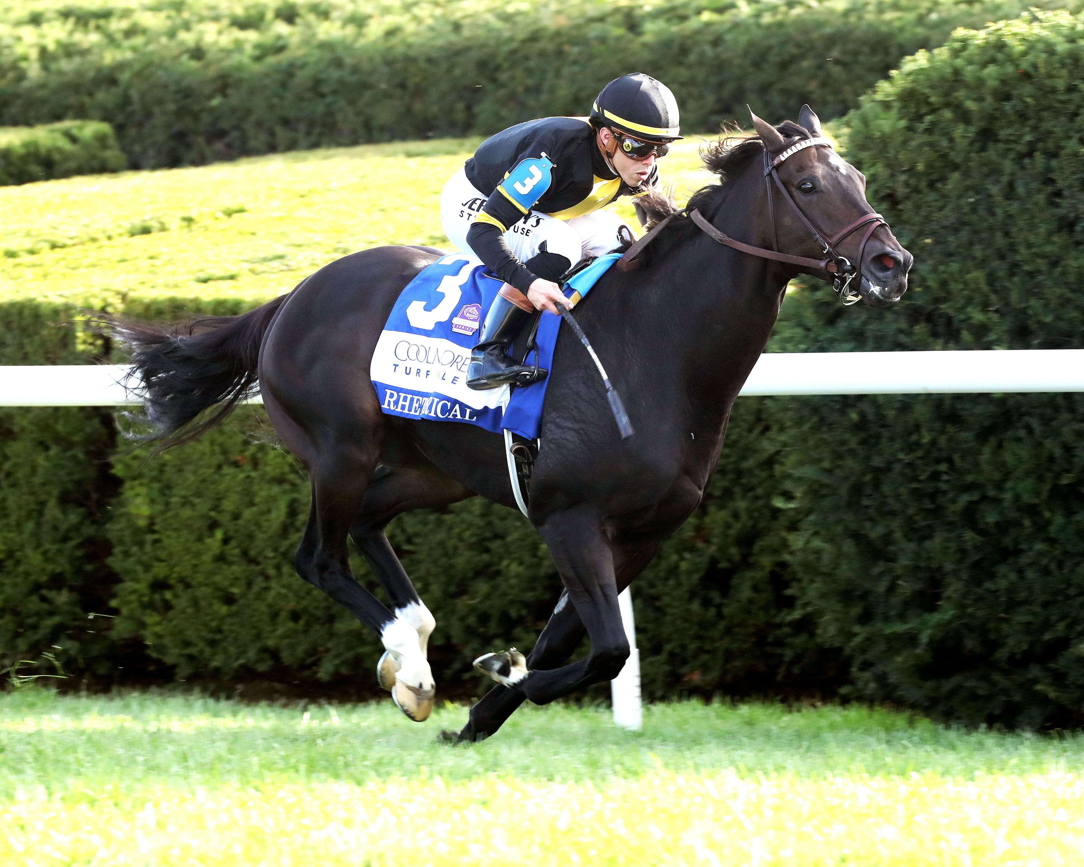Rhetorical wins the Coolmore Turf Mile (G1) at Keeneland.