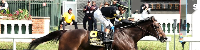 Rhetorical wires Turf Classic in stakes-record time
