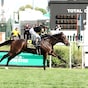Rhetorical wires Turf Classic in stakes-record time