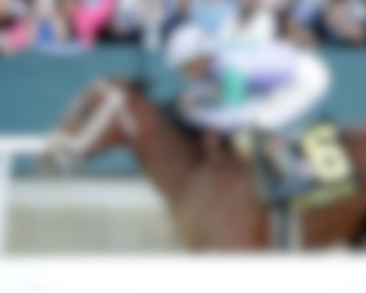 Renegade wins the Arkansas Derby at Oaklawn Park. 