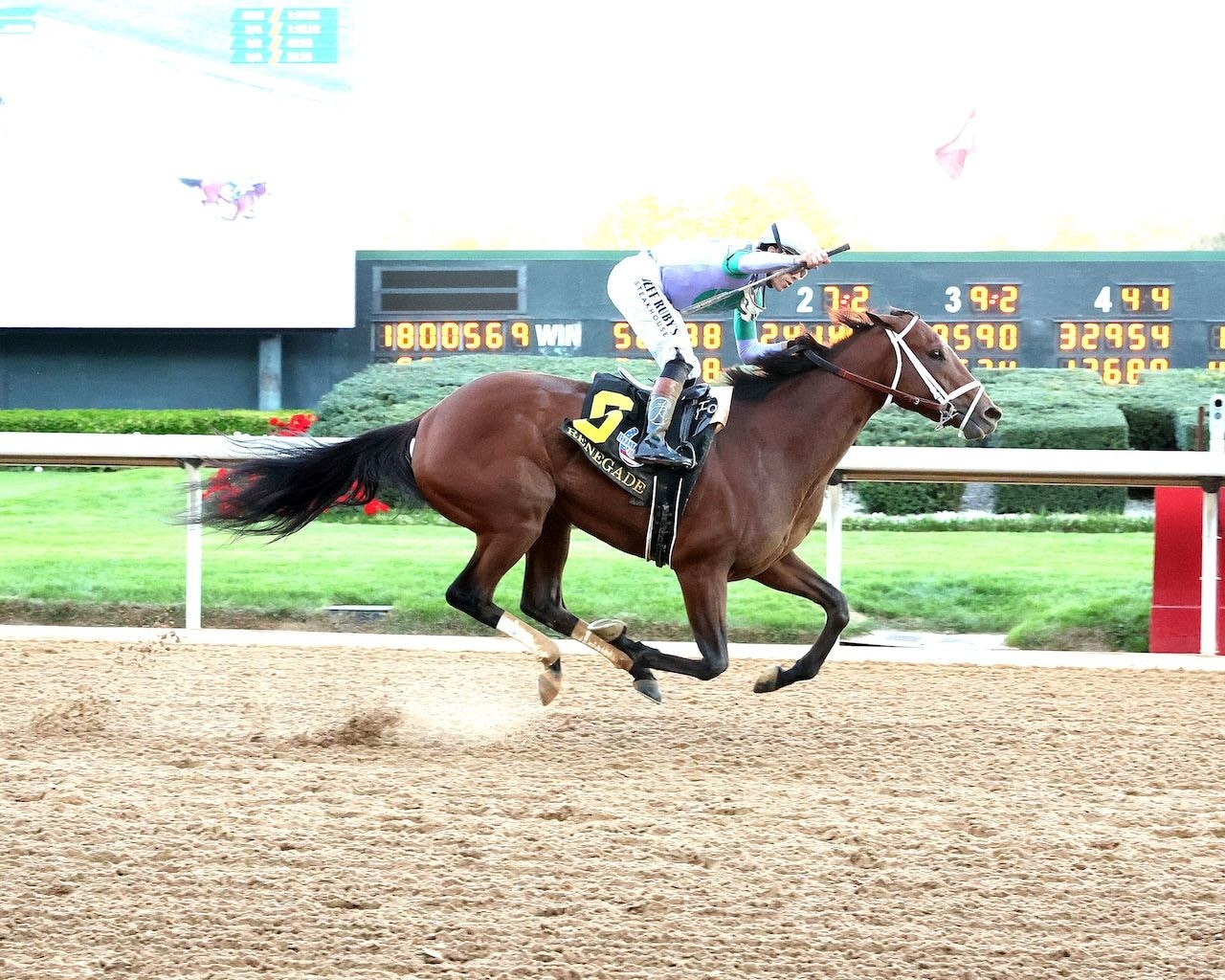 Renegade wins the Arkansas Derby at Oaklawn Park. 