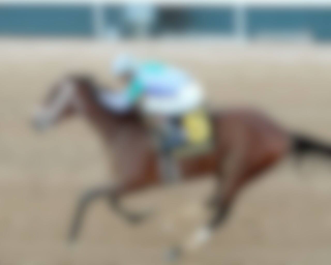 Renegade wins the Arkansas Derby at Oaklawn Park. 