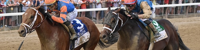 Renegade rallies to claim Jim Dandy