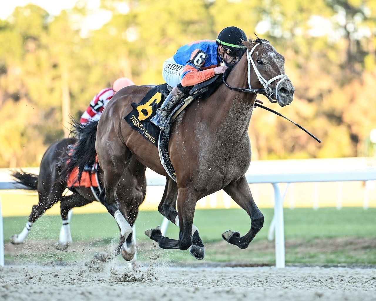 Renegade, Silent Tactic square off in Arkansas Derby