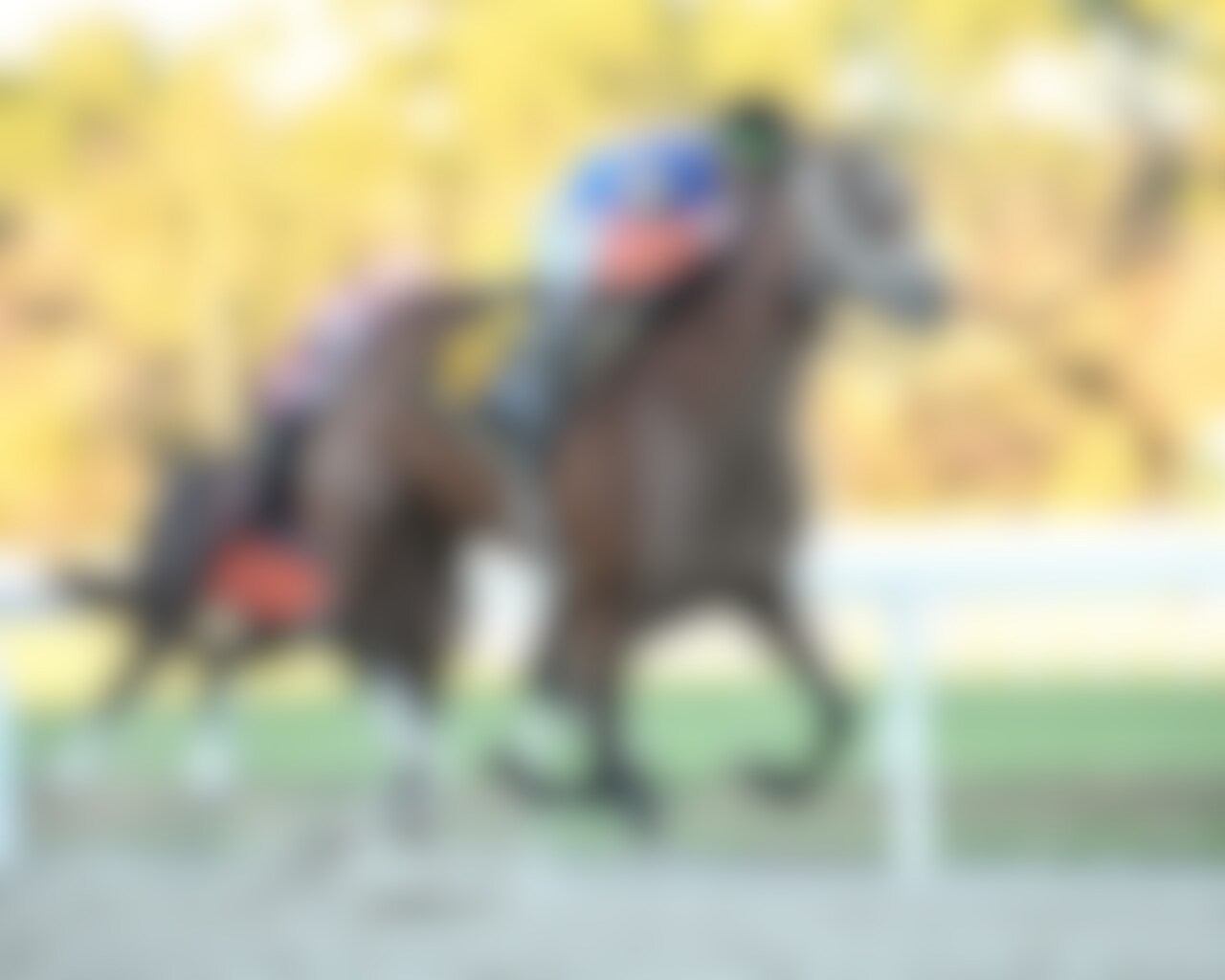 Renegade wins the Sam F. Davis Stakes at Tampa Bay Downs. 