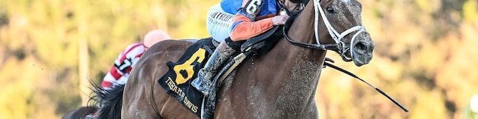 Renegade, Silent Tactic square off in Arkansas Derby