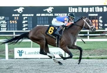Renegade wins the Sam F. Davis Stakes at Tampa Bay Downs.