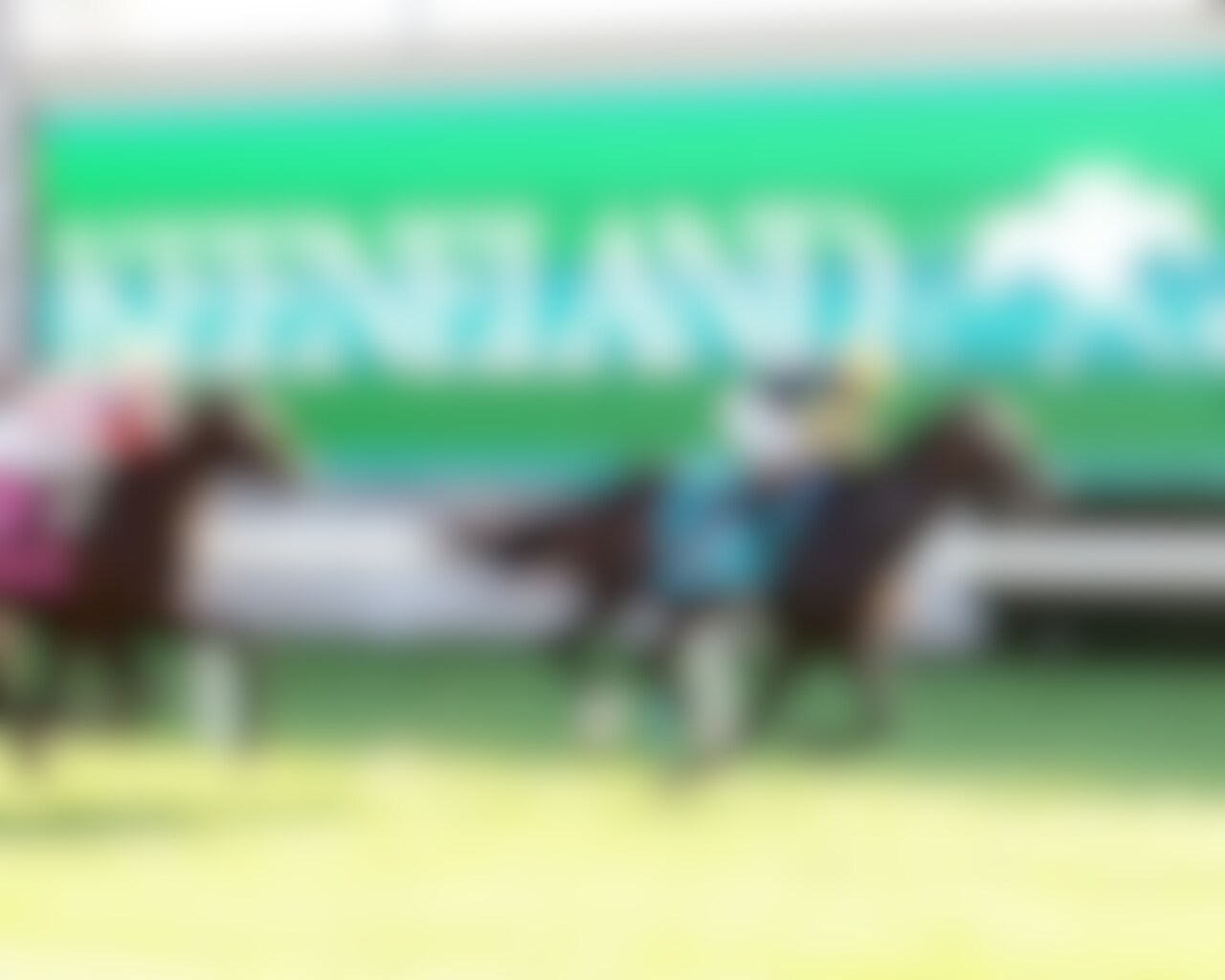 Rhetorical wins the Turf Mile at Keeneland. 